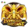 Invincible Elephant